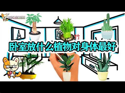 房間放刀劍|房間放刀劍？風水師揭秘利弊